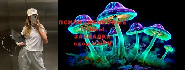 гидра Алзамай