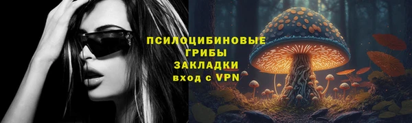spice Армянск