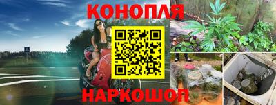 ECSTASY Славгород