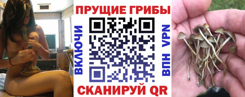 Галлюциногенные грибы GOLDEN TEACHER  наркотики  даркнет официальный сайт  Арзамас 