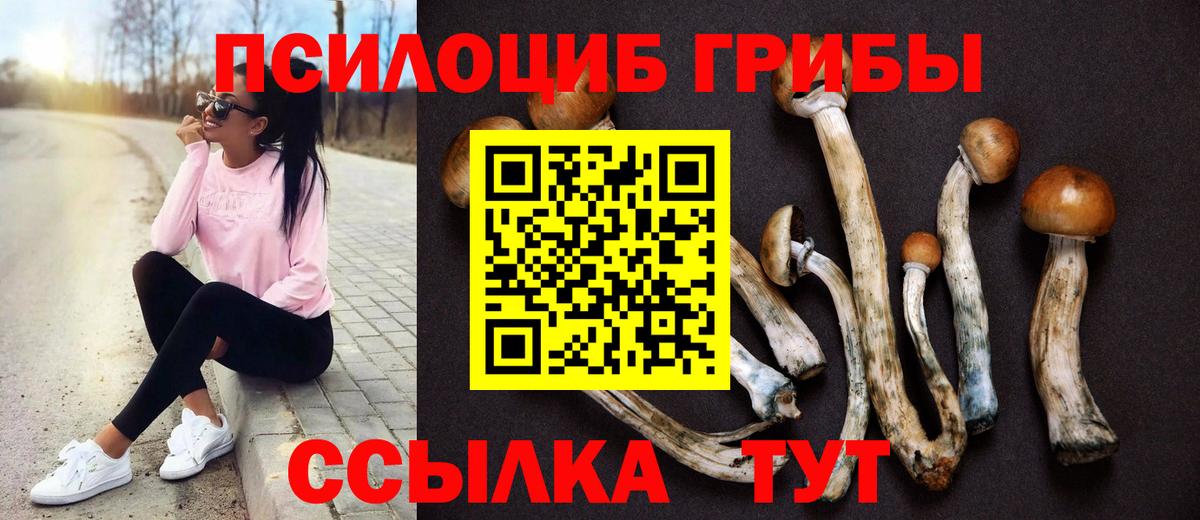 Псилоцибиновые грибы MAGIC MUSHROOMS  Вход с VPN  закладки  Арзамас  Псилоцибиновые грибы MAGIC MUSHROOMS 