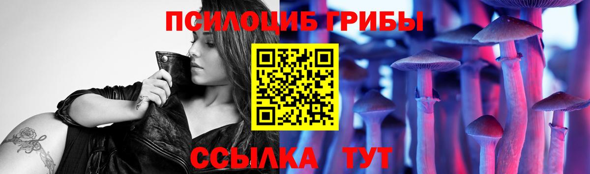 Псилоцибиновые грибы мицелий Арзамас
